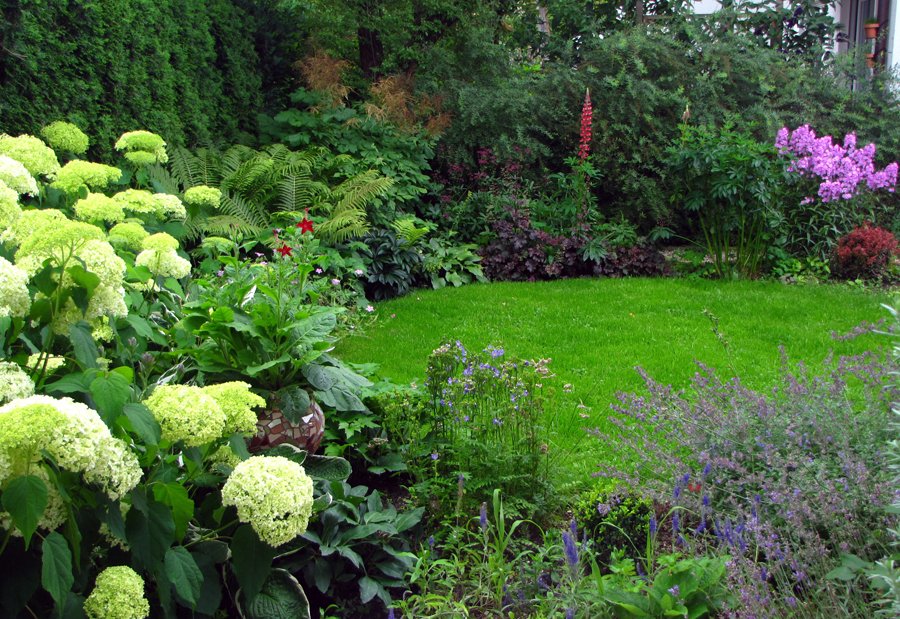 Oasis-Garten
